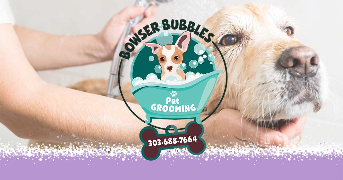 Book Now! - Bubbles Pet Spa